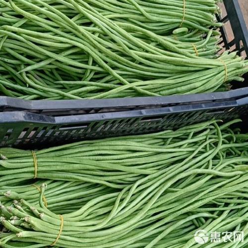 干豆网络科技 以信任驱动增长的数字化经营样本